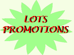 PROMOTIONS / LOTS